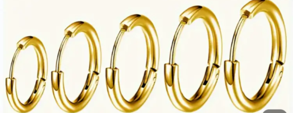 Earring Stainless Steel