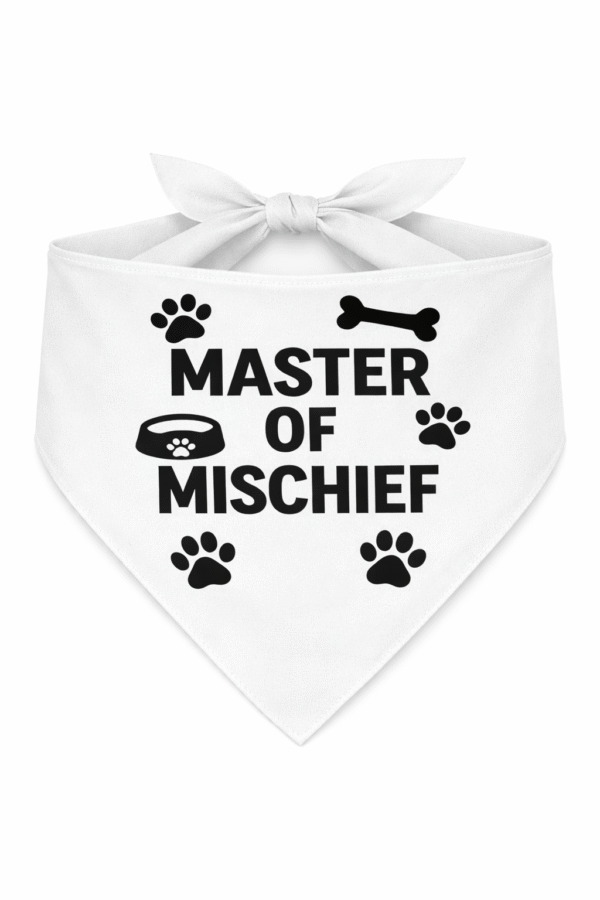 Master Of Mischief  Dog Bandana